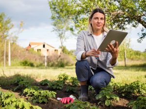 optimizar la salud de tus cultivos