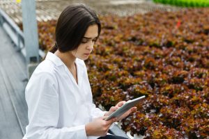 optimizar la salud de tus cultivos